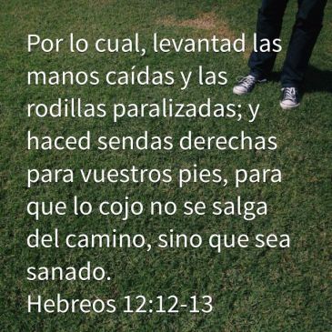 hebreos 12 12 13