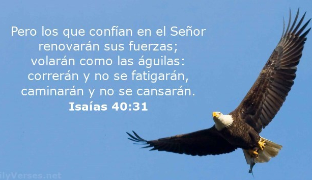 isaias-40-31