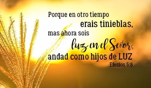 efesios 5 8
